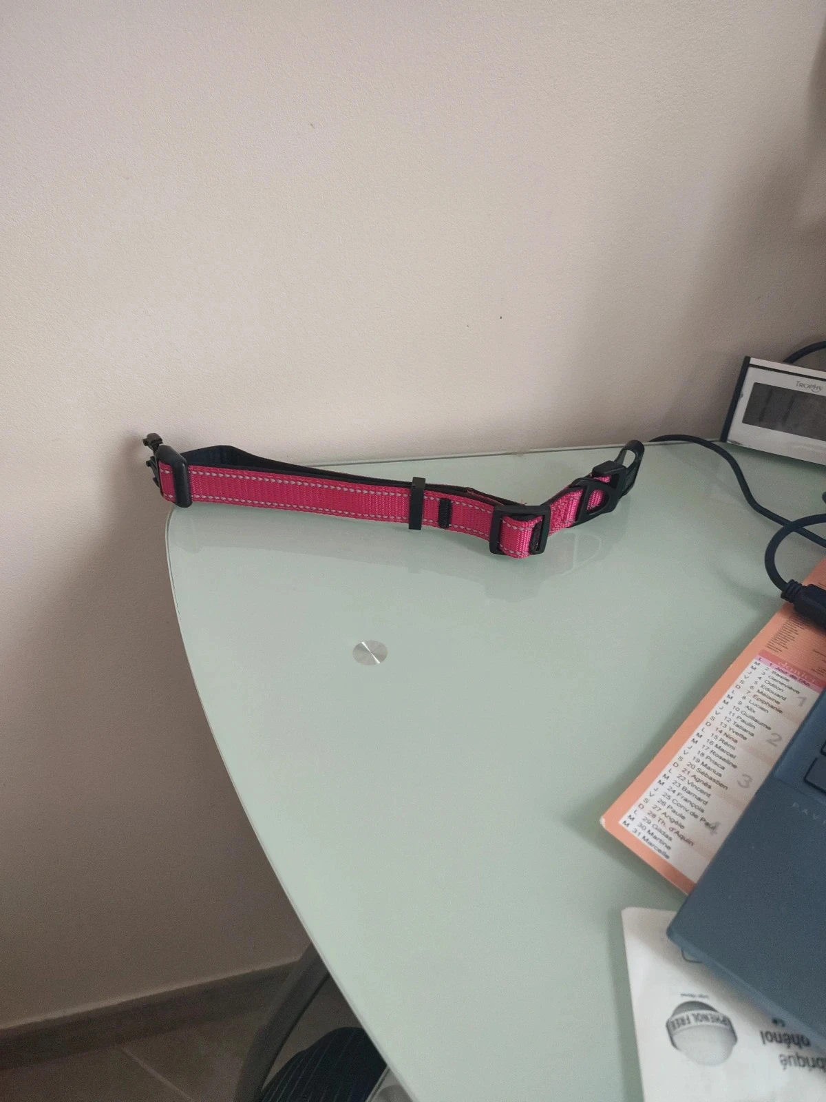 Hondenhalsband – photo 2